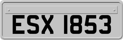 ESX1853