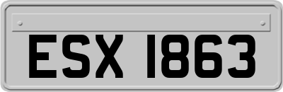 ESX1863