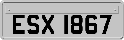 ESX1867