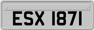 ESX1871