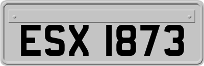 ESX1873
