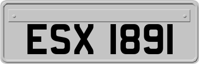 ESX1891