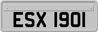 ESX1901