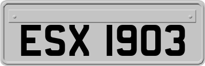 ESX1903