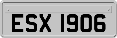 ESX1906