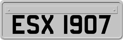 ESX1907