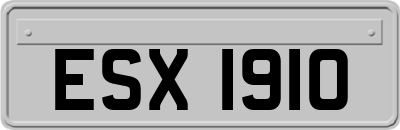 ESX1910