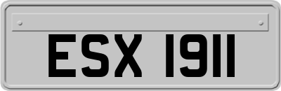 ESX1911