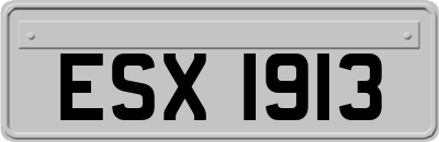 ESX1913