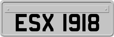 ESX1918