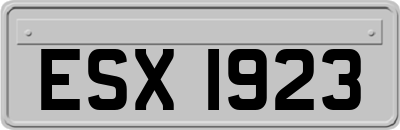 ESX1923
