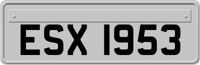 ESX1953