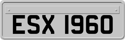 ESX1960