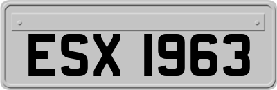 ESX1963