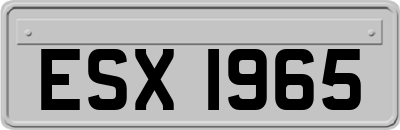 ESX1965