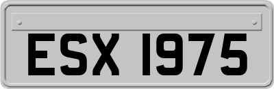 ESX1975