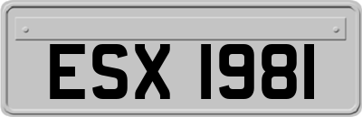 ESX1981