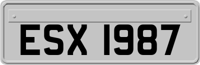 ESX1987