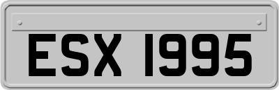 ESX1995