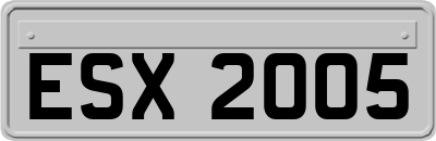 ESX2005