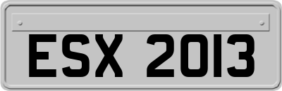 ESX2013