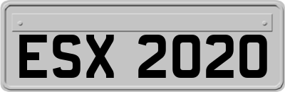 ESX2020