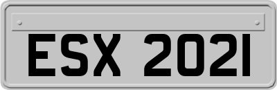 ESX2021