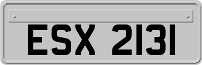 ESX2131