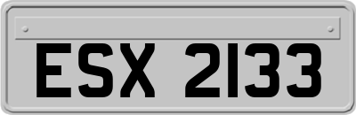 ESX2133