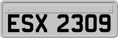 ESX2309