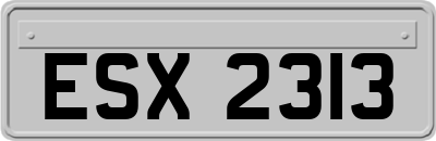 ESX2313