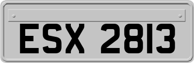 ESX2813
