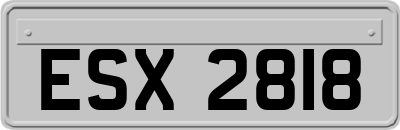 ESX2818