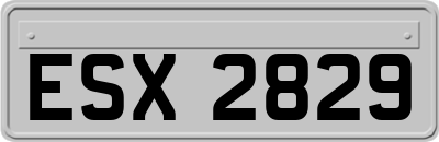 ESX2829