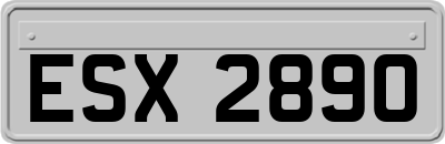 ESX2890