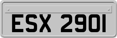 ESX2901
