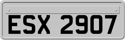 ESX2907