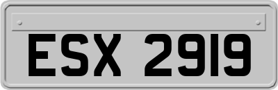 ESX2919