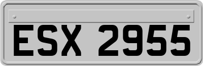 ESX2955
