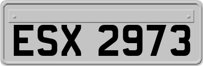 ESX2973