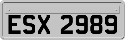 ESX2989