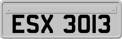 ESX3013