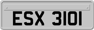 ESX3101