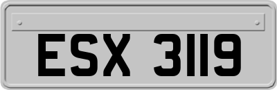ESX3119