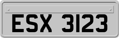 ESX3123