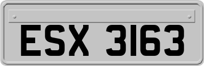 ESX3163