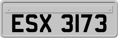 ESX3173