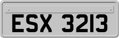 ESX3213