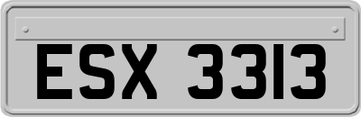 ESX3313