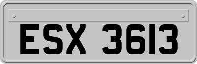 ESX3613